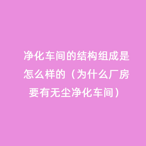 凈化車(chē)間的結(jié)構(gòu)組成是怎么樣的（為什么廠房要有無(wú)塵凈化車(chē)間）